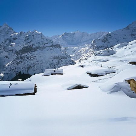 Holiday Home Chalet Ahornen By Interhome Grindelwald Exterior photo