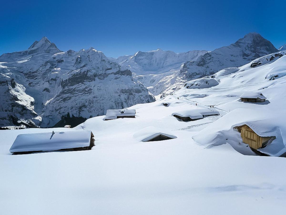 Holiday Home Chalet Ahornen By Interhome Grindelwald Exterior photo